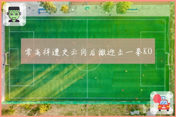 常高祥遭史云岗后撤迎击一拳KO