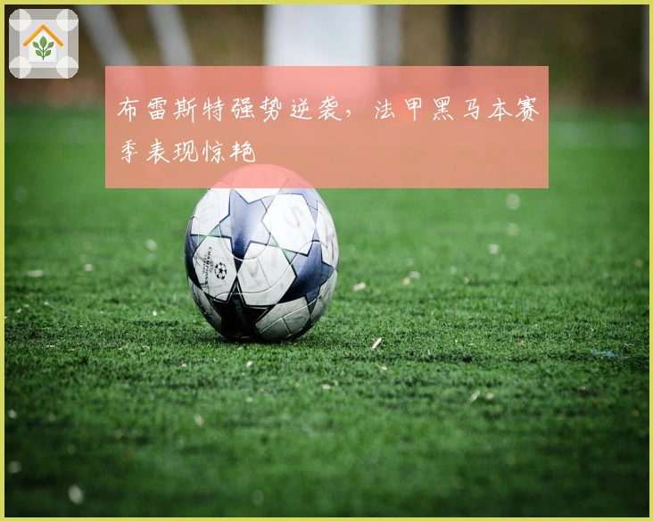 布雷斯特强势逆袭，法甲黑马本赛季表现惊艳